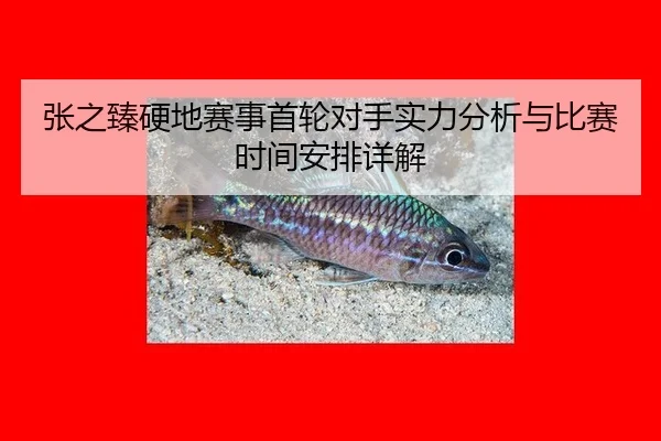 张之臻硬地赛事首轮对手实力分析与比赛时间安排详解